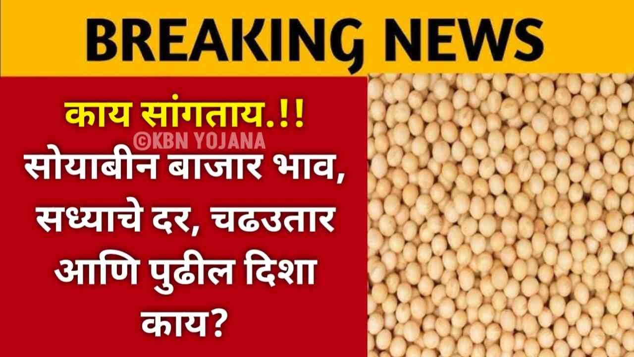 काय सांगताय.!! सोयाबीन बाजार भाव, सध्याचे दर, चढउतार आणि पुढील दिशा काय? Soybean Market Price